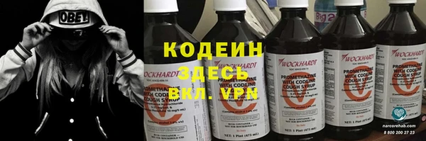 индика Осинники