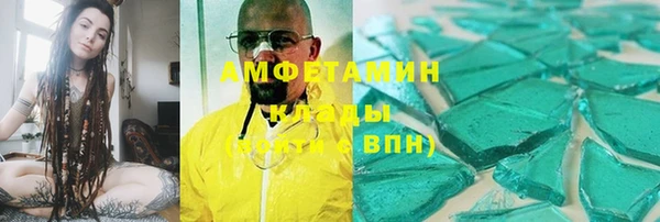 шишки Осташков