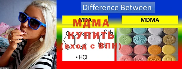 индика Осинники