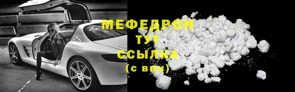 индика Осинники