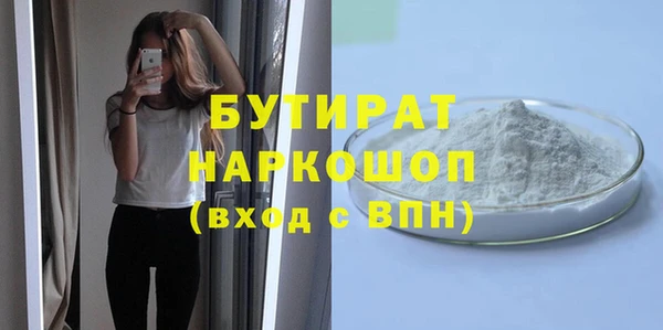 индика Осинники