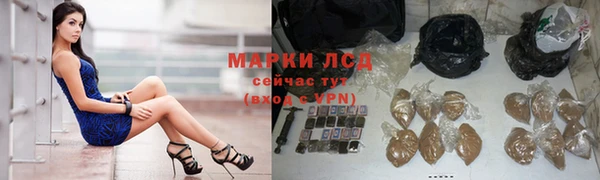шишки Осташков