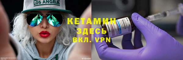 индика Осинники