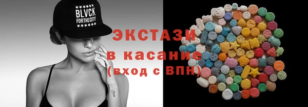 индика Осинники