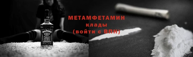 шишки Осташков
