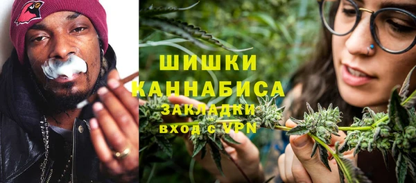 индика Осинники