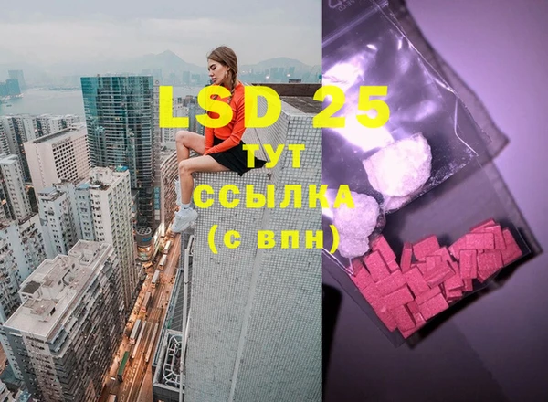 индика Осинники