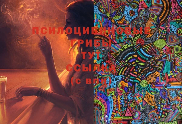 шишки Осташков