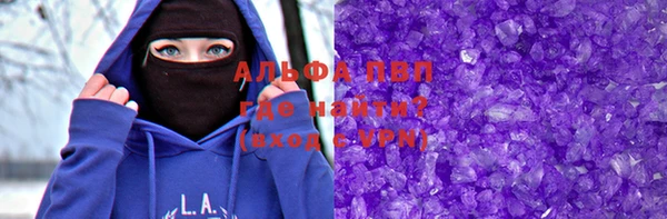 индика Осинники