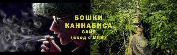 шишки Осташков