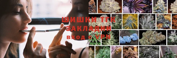 индика Осинники