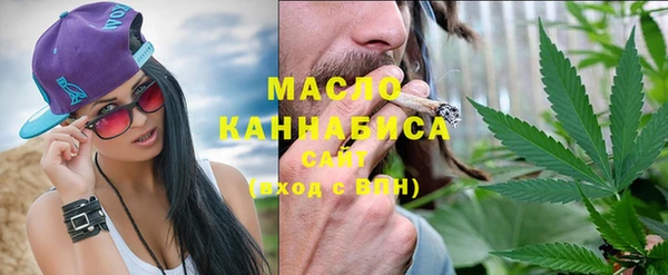 шишки Осташков