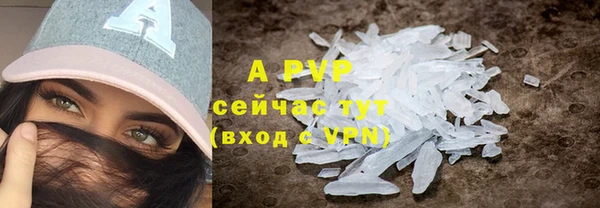 индика Осинники